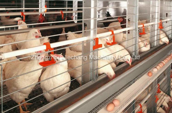 how to keep warm for pullets in cold winter?